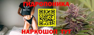прущие грибы Кумертау