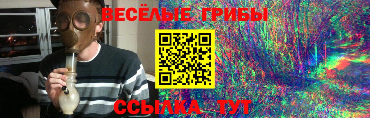 Галлюциногенные грибы ЛСД Кольчугино