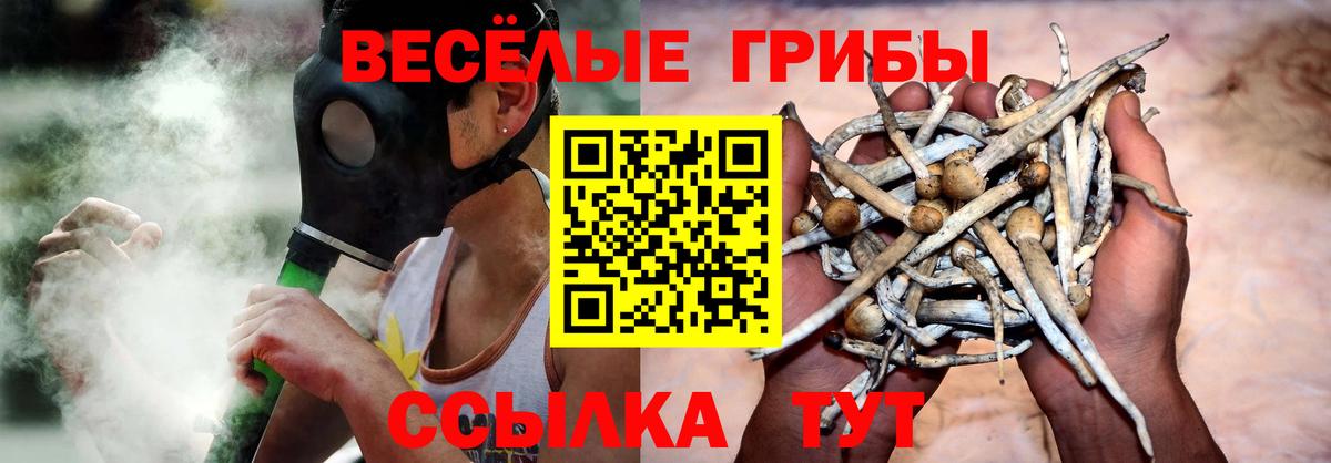 Кольчугино  Галлюциногенные грибы GOLDEN TEACHER  Галлюциногенные грибы прущие грибы  Вход с VPN 